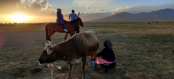 송쿨에서는 말을 타고 젖을 짜는 유목민의 삶을 체험할 수 있다